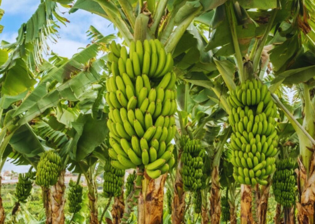 digital marketing card (77)