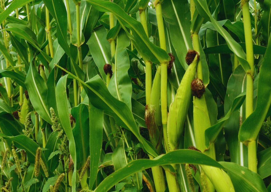 digital marketing card (78)