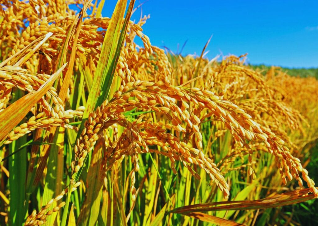 digital marketing card (79)