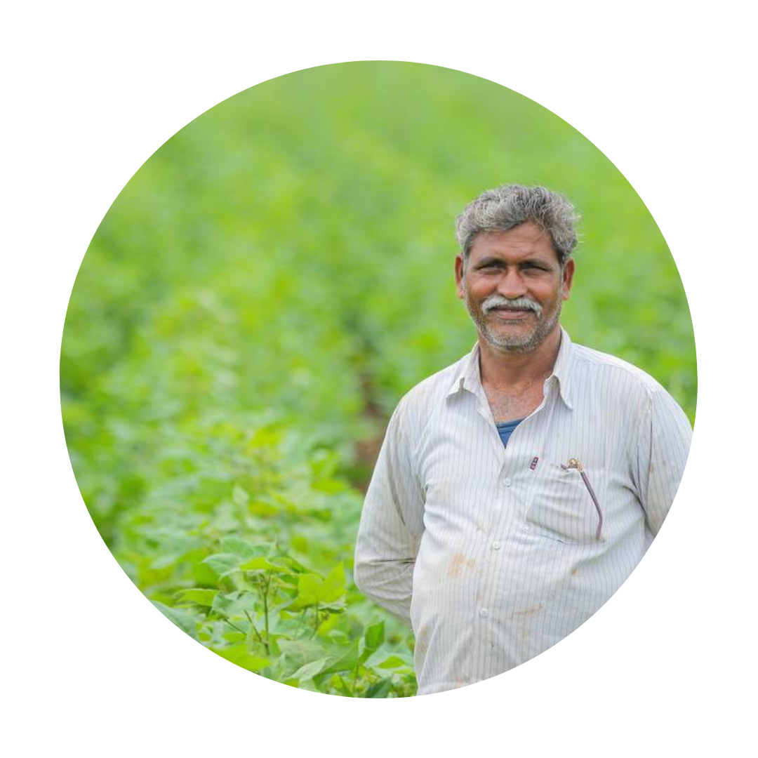 best pest control chemicals for banana crops