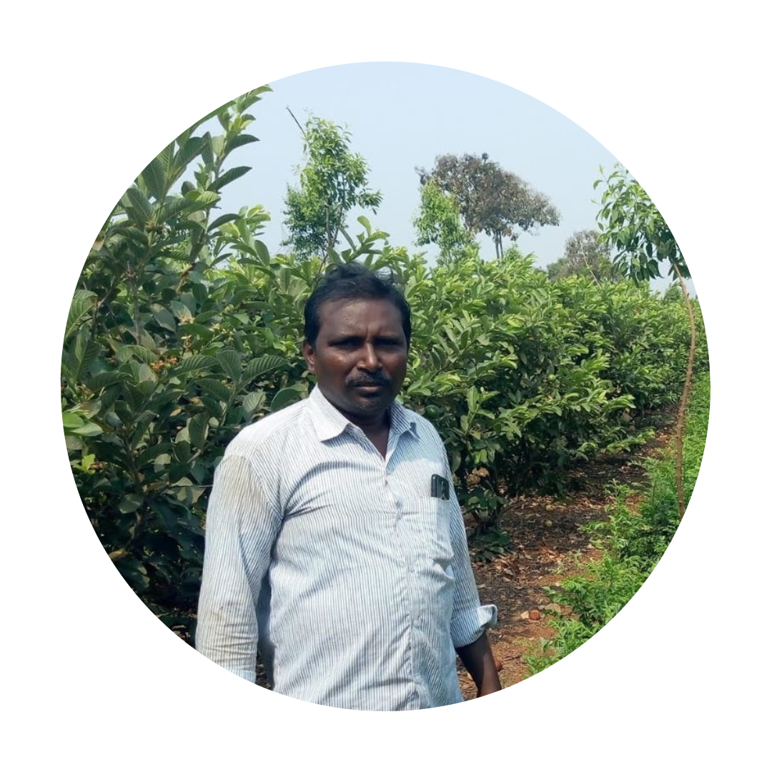 pesticide and fertilizer dealers near Warangal