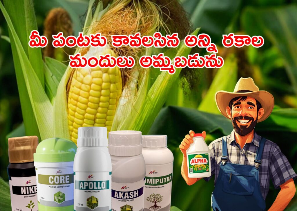 fungicides for paddy leaf blast